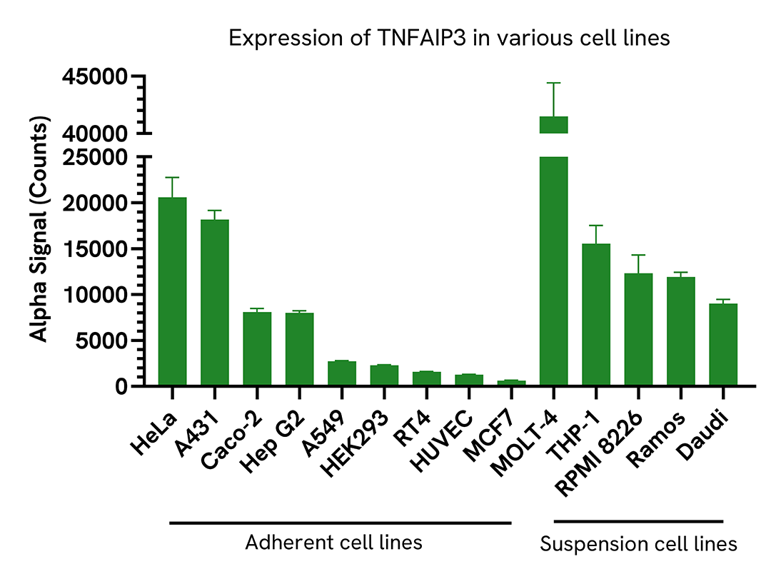 Expression of TNFAIP3 in various cell lines