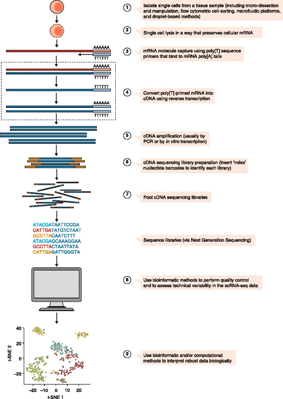 img-fig1-ngs-library-prep-step-complexity