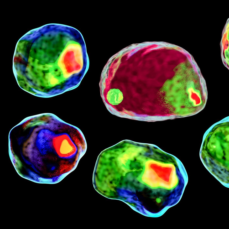 Flow Cytometry Cocktail Prep Automation hero