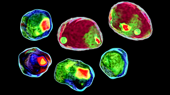 Flow Cytometry Cocktail Prep Automation thumbnail-512x288
