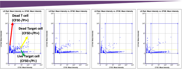 Fluorescent Intensity Gating for Cytotoxicity Percentage