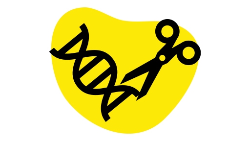 From Discovery to Manufacturing 02