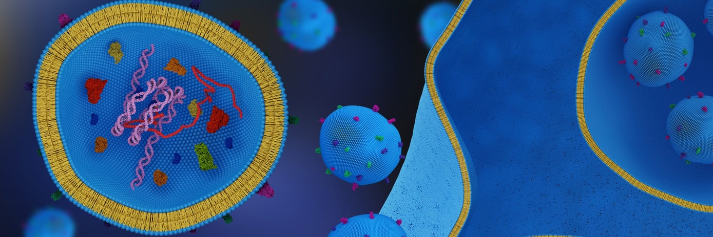 Gel-free library prep using miRNA isolated from exosomes
