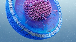 gene therapy applications