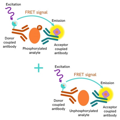 generic HTRF total primary image