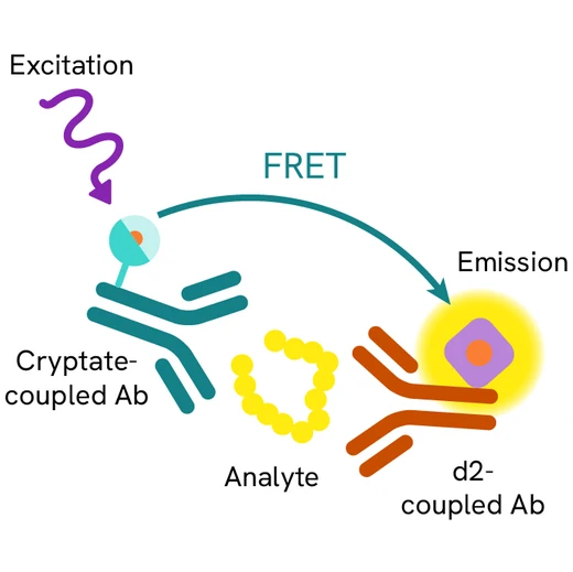 Generic HTRF acetylated d2 image