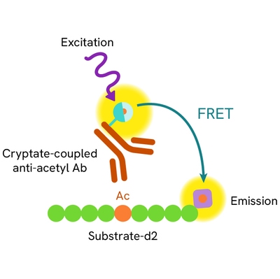 Generic HTRF acetylated d2 substrate assay image