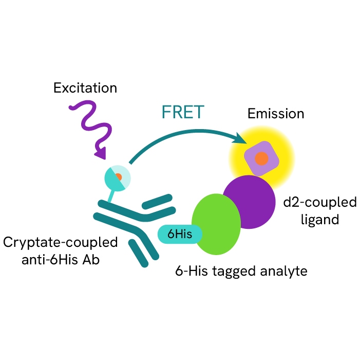 Generic HTRF Anti 6His binding d2 image