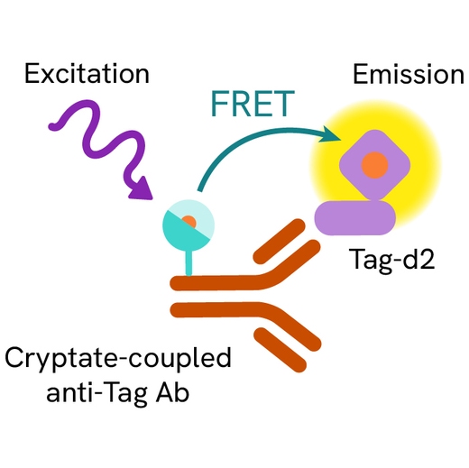 Generic HTRF Anti tag d2 image