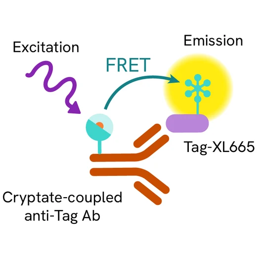 Generic HTRF Anti tag XL665 image