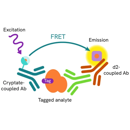 Generic HTRF antiTag binding image