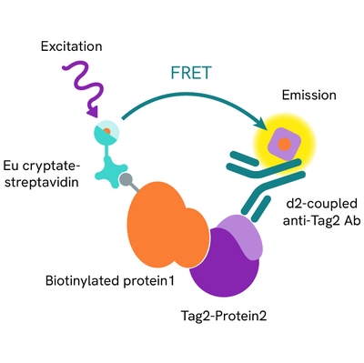 Generic HTRF biochemical binding LAG3/MHCII image