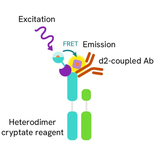 Generic HTRF biochemical competitive binding assay image
