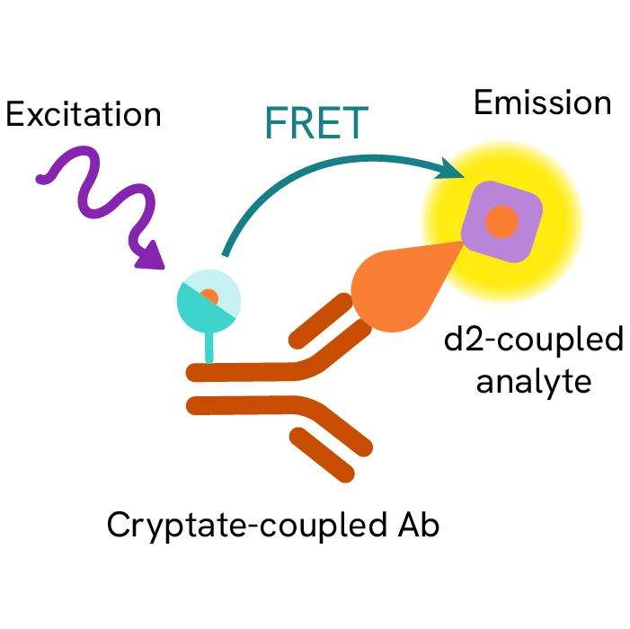 HTRF cGMP Detection Kit, 500 Assay Points