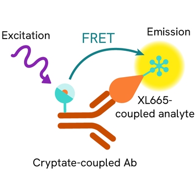 Generic HTRF biomarker competition XL665 image