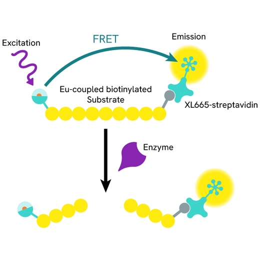 Generic HTRF biotinylated coupled substrate XL665 streptavidin image