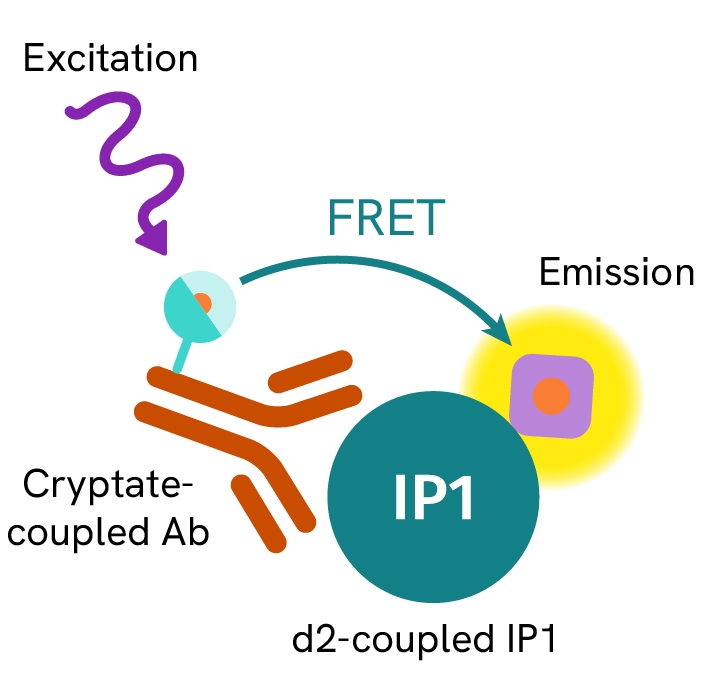 HTRF IP-One Gq Detection Kit, 1,000 Assay Points