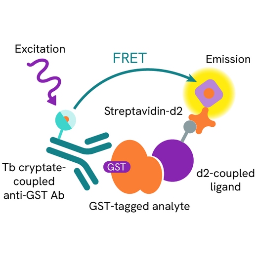 Generic HTRF Ciap1 detection image