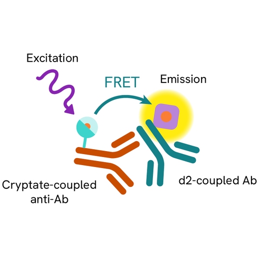 Generic HTRF competitive Ab assay d2 image