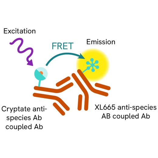 Generic HTRF competitive antibody assay image