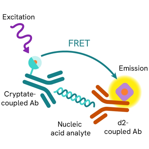 Generic HTRF DNA detection image
