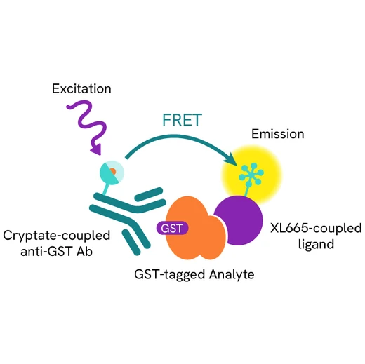 Generic HTRF GST analyte XL665 ligand image