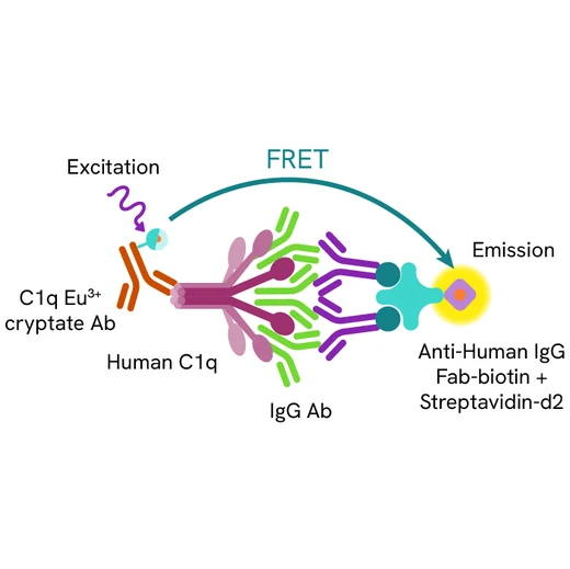 Generic HTRF Human C1q Binding image