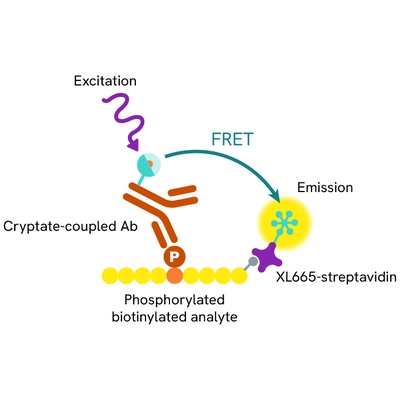 Generic HTRF kinease image