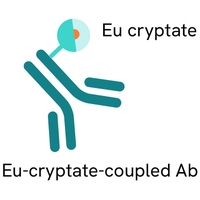 HTRF MAb Anti Human Kappa-Eu cryptate, 5,000 Assay Points