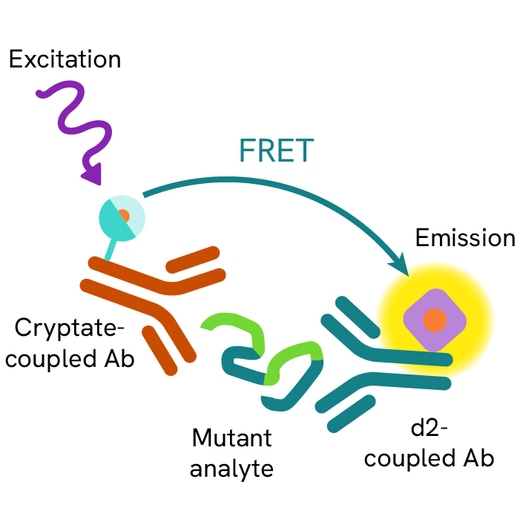 Generic-HTRF-mutant-detection-image