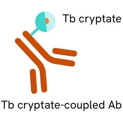 Generic HTRF PAb TbK image