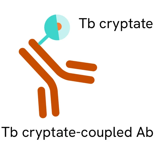 Generic HTRF PAb TbK image