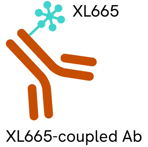 Generic HTRF PAb XL665 image