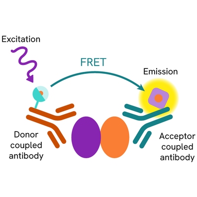 HTRF PPI primary image