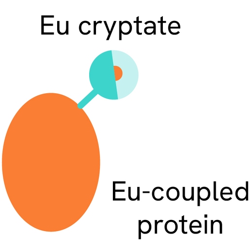 Generic HTRF ProteinA EuK image