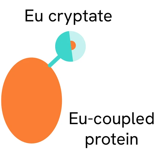 Generic HTRF ProteinA EuK image