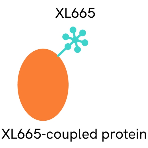 Generic HTRF ProteinA XL665 image