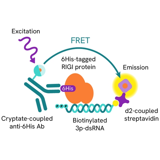 Generic HTRF RIG I binding image