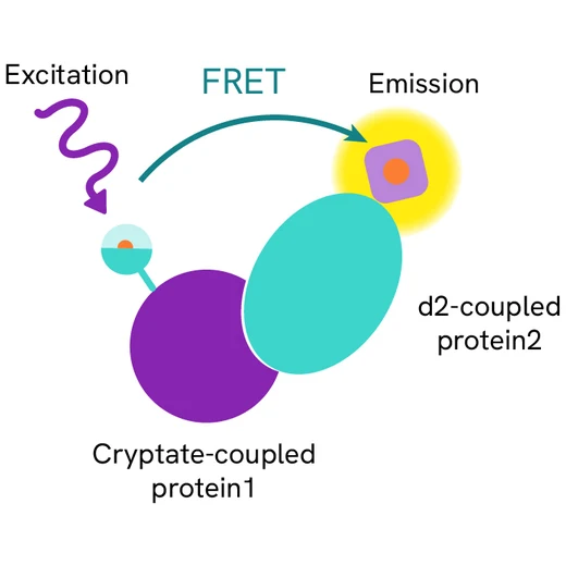Generic HTRF SARS CoV 2 S1/ACE2 image