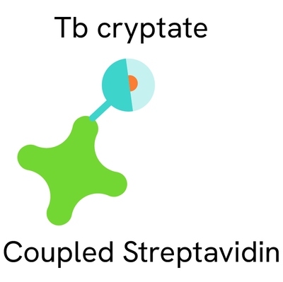 Generic HTRF Streptavidin TbK image
