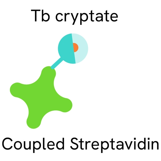 Generic HTRF Streptavidin TbK image