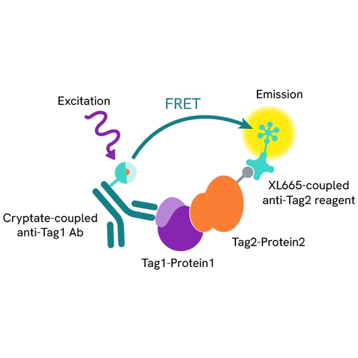 Generic HTRF TNFR1 XL665 image