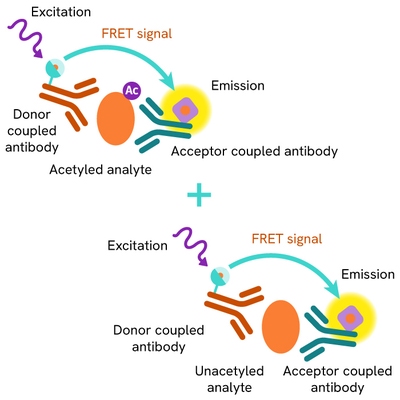 HTRF total acetyl primary image