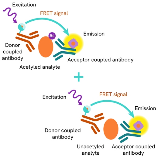 HTRF total acetyl primary image