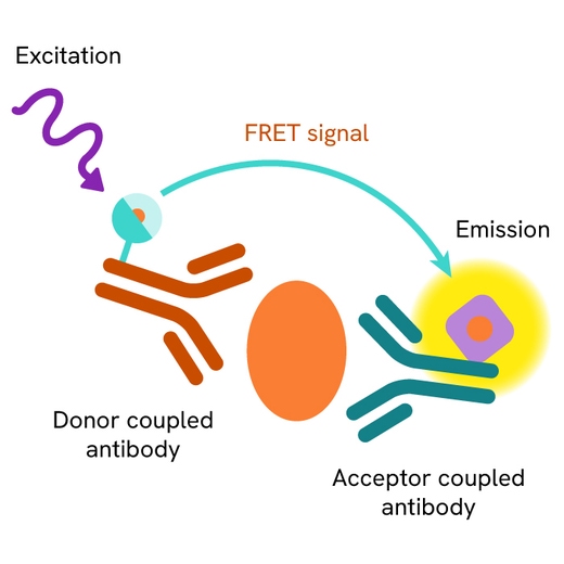 HTRF total without phospho primary image