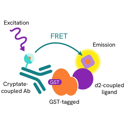 Generic HTRF Xiap detection image