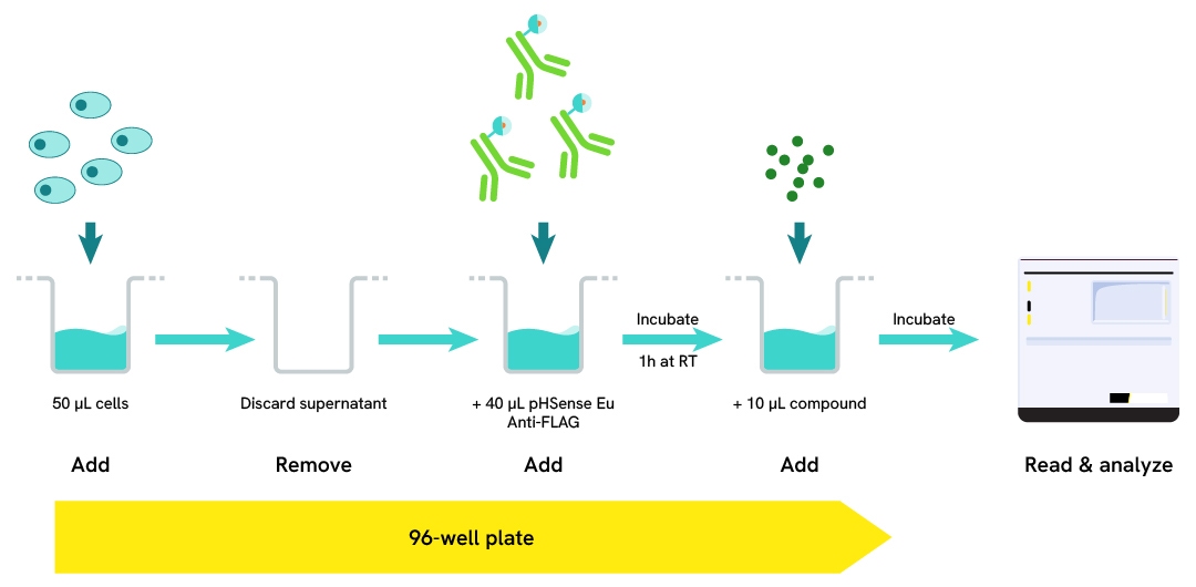 Image generic R&D attributes assay protocol pHSense Anti-Flag