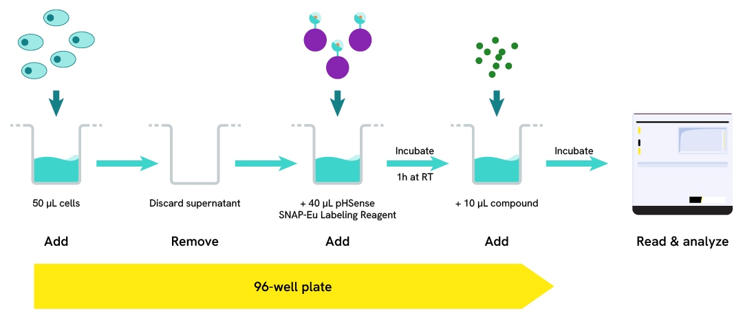 Image generic R&D attributes assay protocol pHSense SNAP labelling