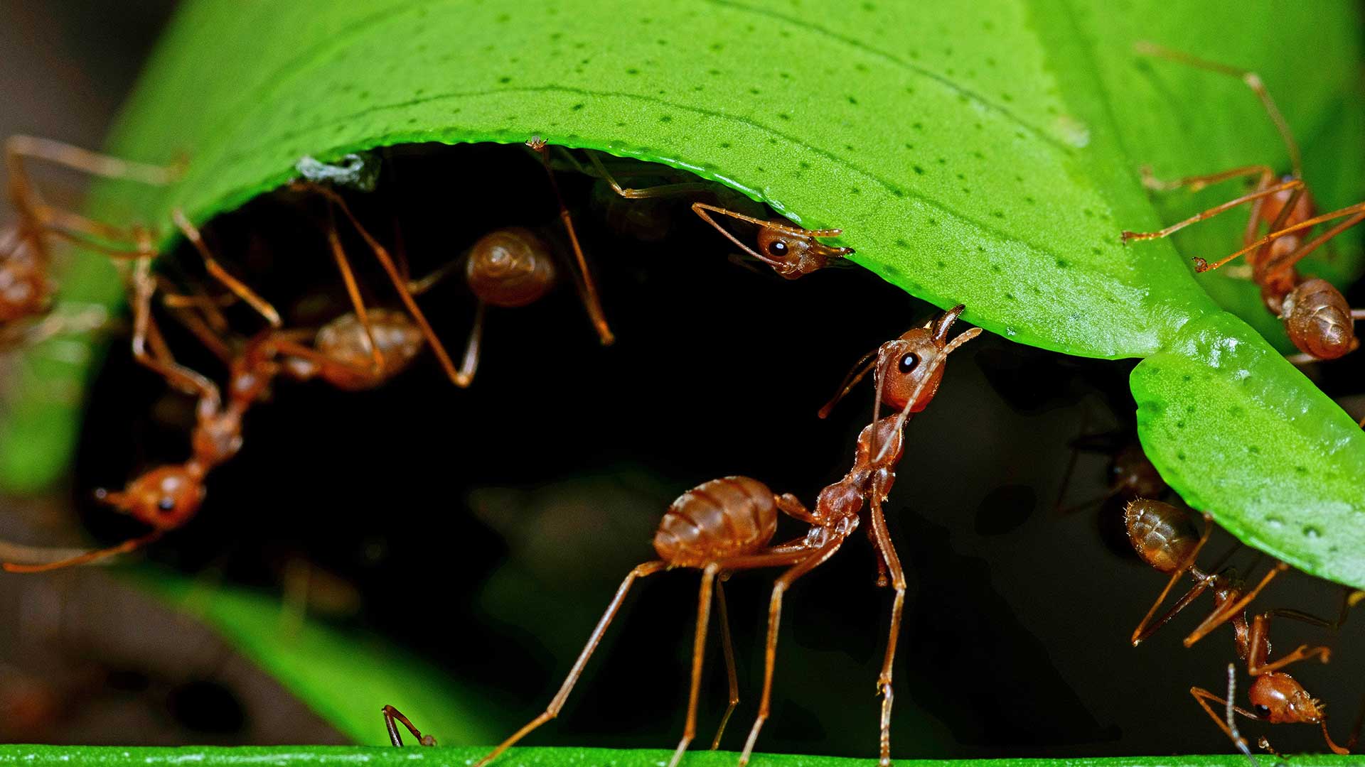 getting the most blog thumbnail