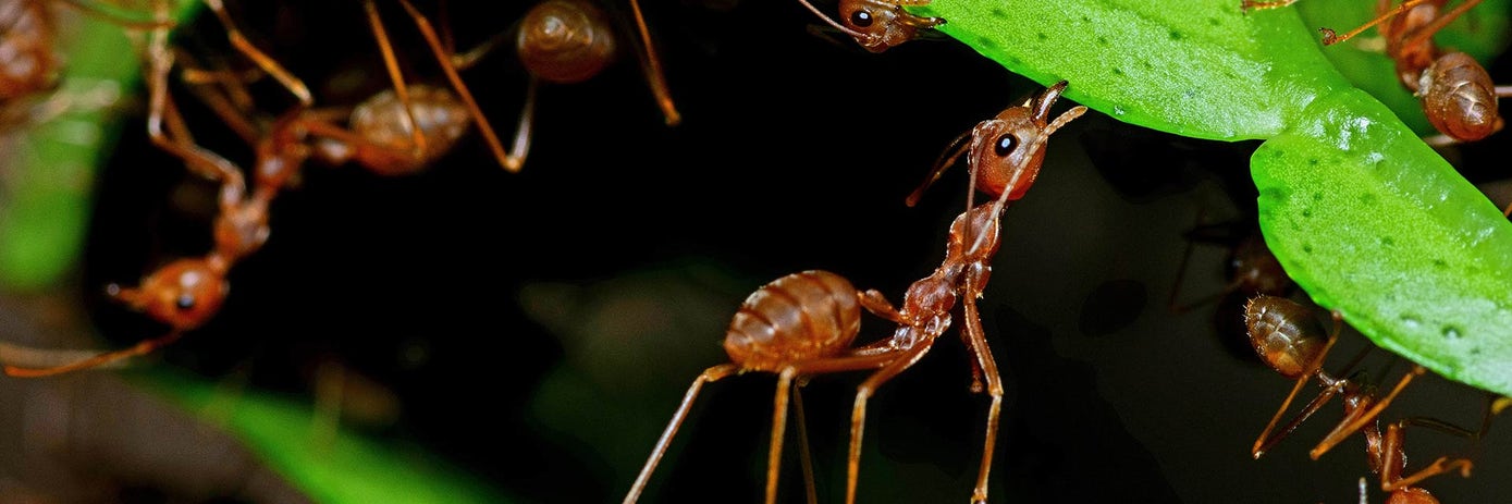 getting the most blog hero